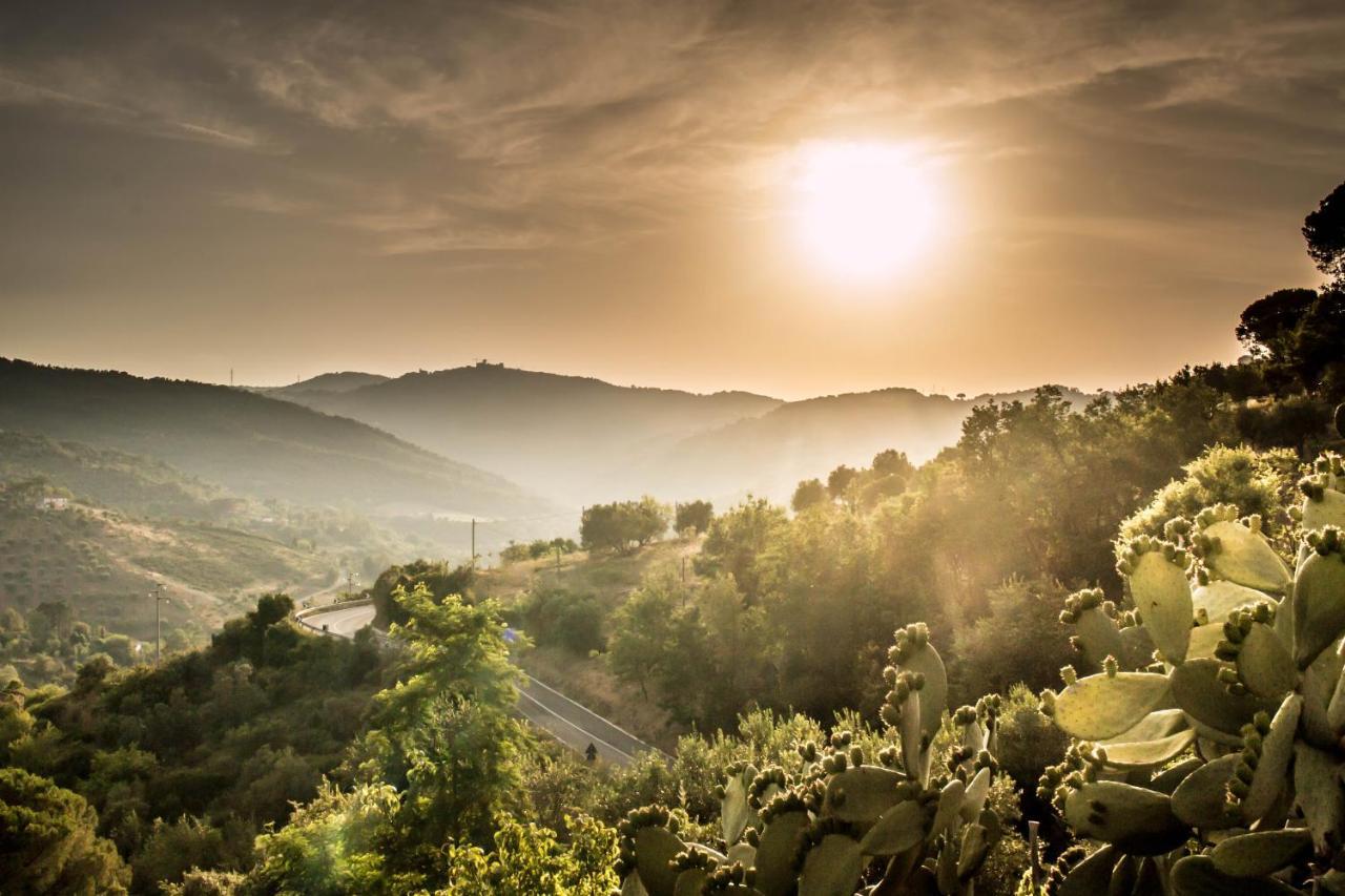 Bed and Breakfast Casale I Cirillo Rutino Exterior foto