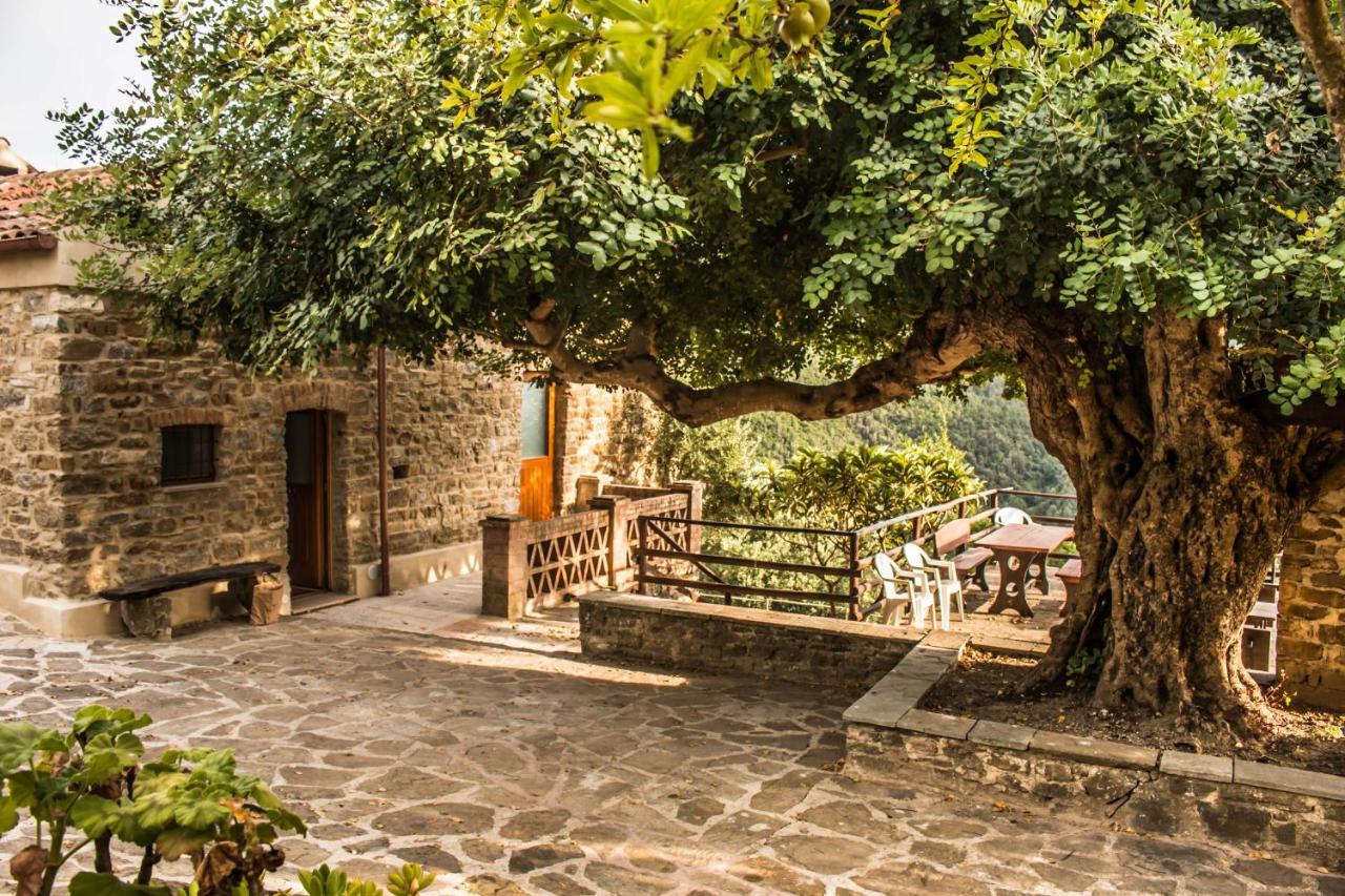 Bed and Breakfast Casale I Cirillo Rutino Exterior foto