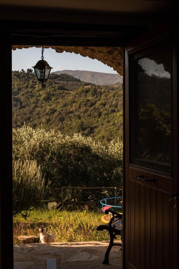 Bed and Breakfast Casale I Cirillo Rutino Exterior foto