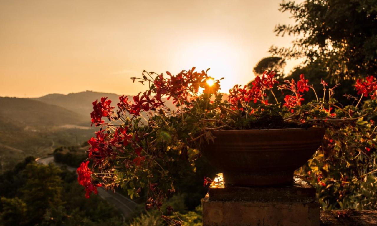 Bed and Breakfast Casale I Cirillo Rutino Exterior foto